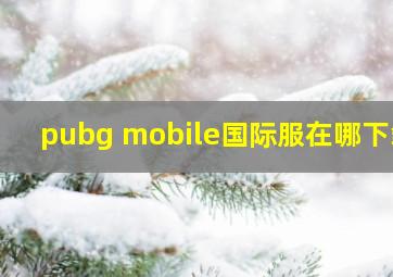 pubg mobile国际服在哪下载